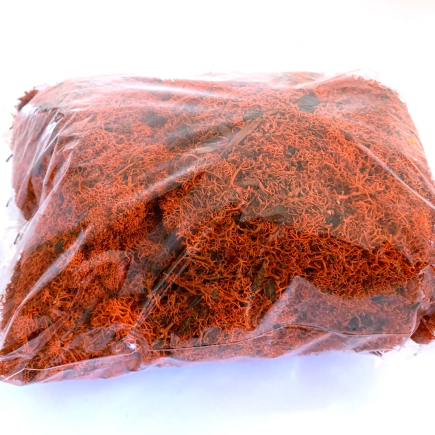 Lichene arancio busta 2 kg