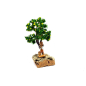 Albero limoni miniatura per presepi