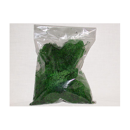 Lichene verde abete busta gr. 50