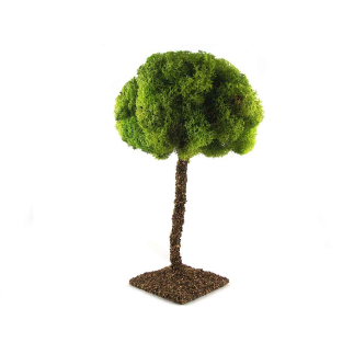 Albero lichene maxi (cm 25)